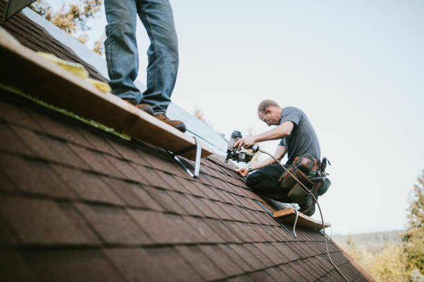 Best Residential Roof Replacement  in Lake Waynoka, OH